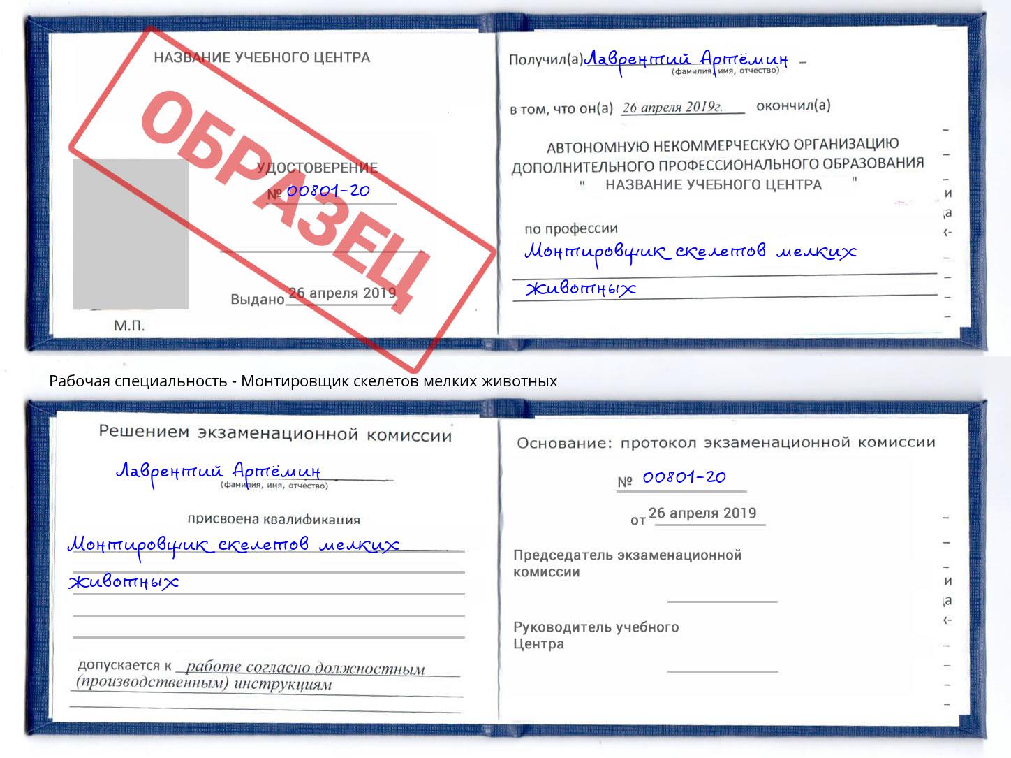 Монтировщик скелетов мелких животных Лабинск